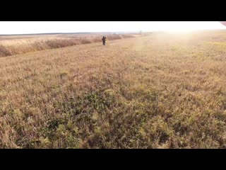 Охота на куропаток