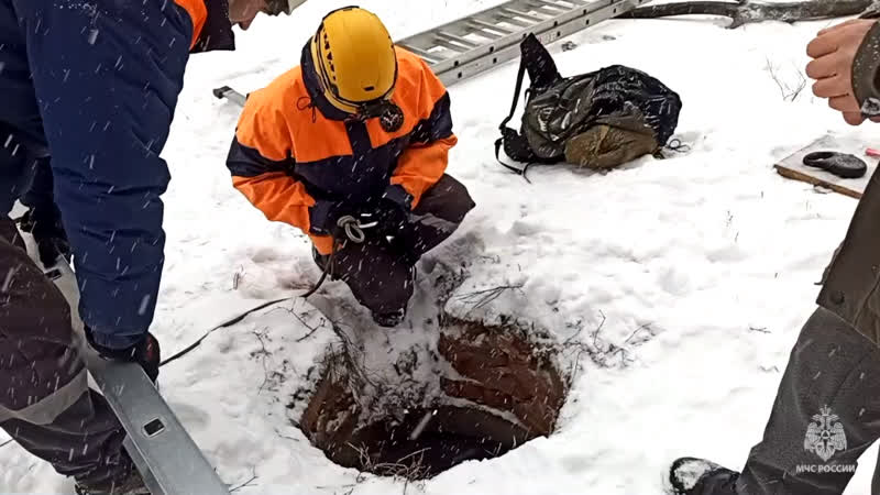 Спасатели мчс россии оказали помощь жительнице барнаула и её собаке 05 12 2023