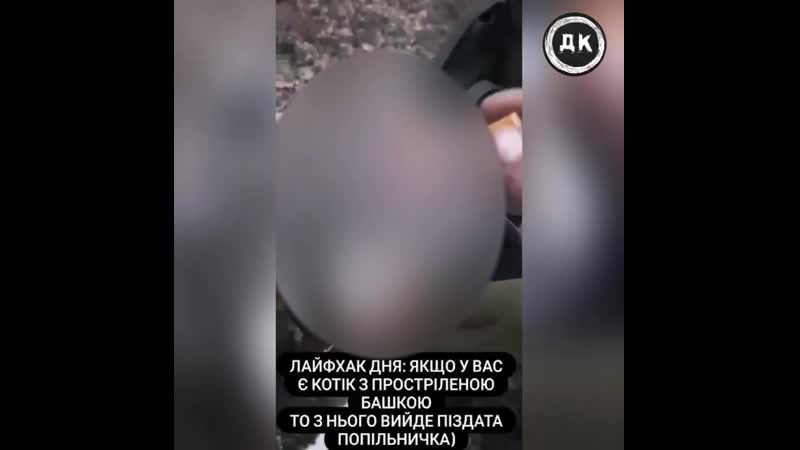 Бравые украинские солдаты | дерзкий квадрат