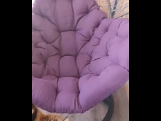 Serval lexus 20200129 145528 0 mp4