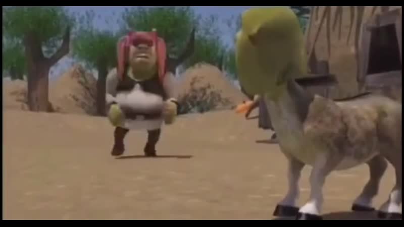 Ебанутый шрек сел на осла и полетел