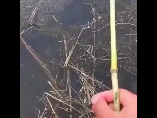 Mir okhoty rybalki cakwrdjisaw mp4