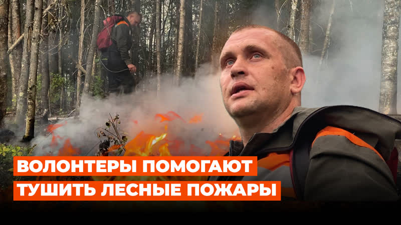 Добровольцы помогают тушить лесные пожары в карелии
