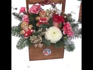 Новогодний комплимент с участием пряничных усных человечков🎄⛄️🎄