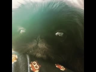 [ig] 191027 soyeon instagram