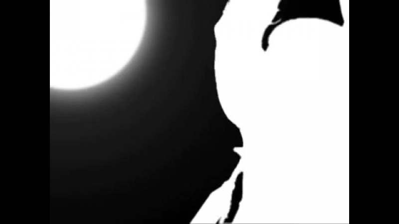 Bad apple feat aniki gachimuchi