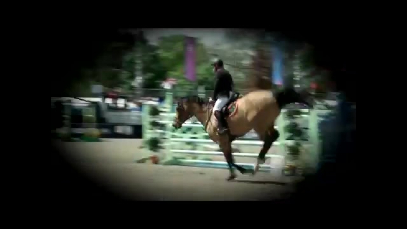 Вы думаете, что конный спорт это легко (1)