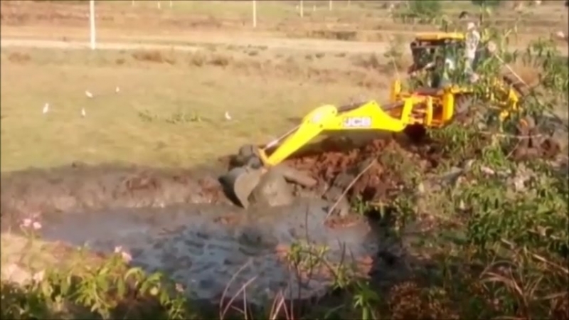 Как люди спасали слоненка