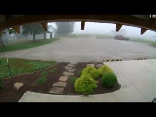 Анимешники 2ch webm