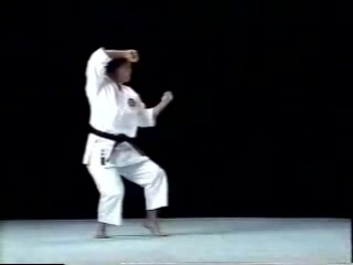 Pinan shodan shito ryu
