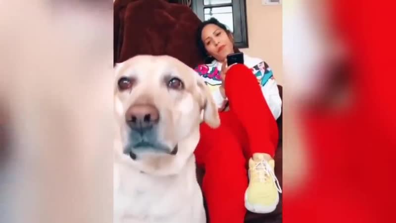 Когда лючили любимую музыку