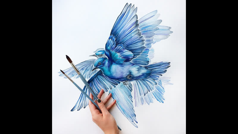 Птичек продолжаем