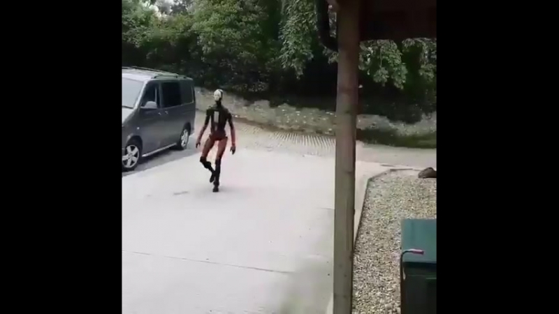 Смеркалось робот обходит свои владения коньки можно запросто отбросить от страха