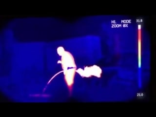 Thermal video of the year