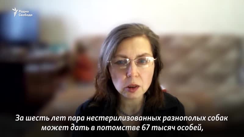 [радио свобода] "так и будут эти концлагеря для молодые"