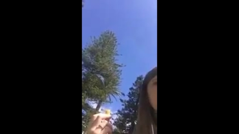 Не щёлкай клювом