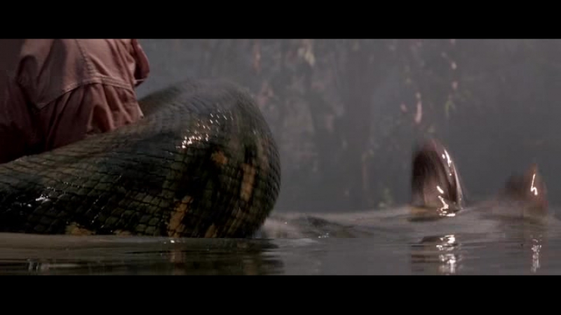 Анаконда porn video – Анаконда (anaconda)