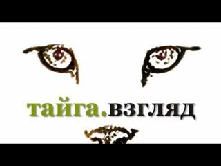 «православная общественность пала жертвой лояльности к власти»