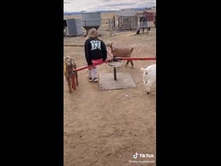 Краш пониплей трамплинг