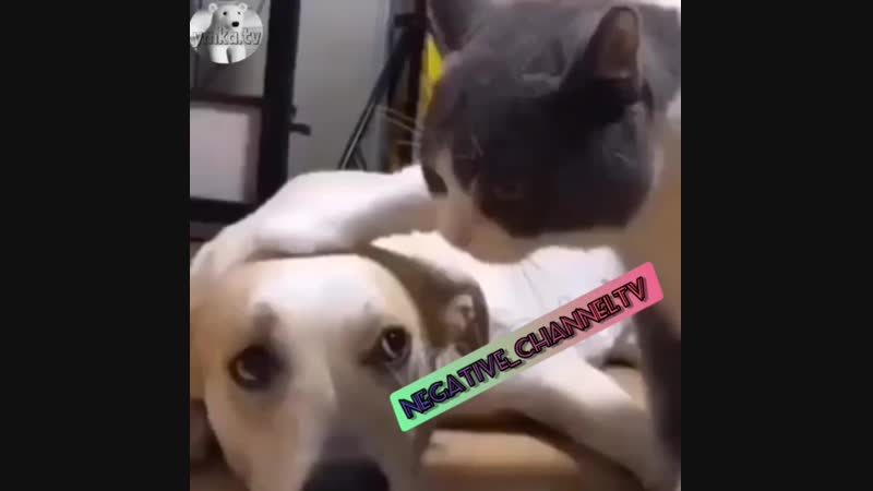 Рельсы рельсы,шпалы шпалы mp4