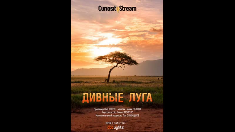 Дивные луга / glorious grasslands (2021)