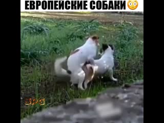 Видео от евгения писарева