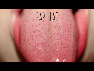 3 common misconceptions about sugar