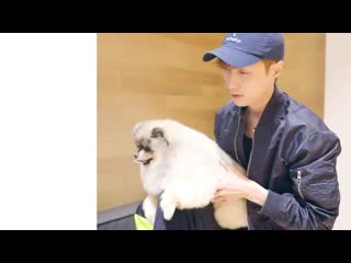 190511 yixing xlogred playing with puppy at sm practice room 张艺兴 lay