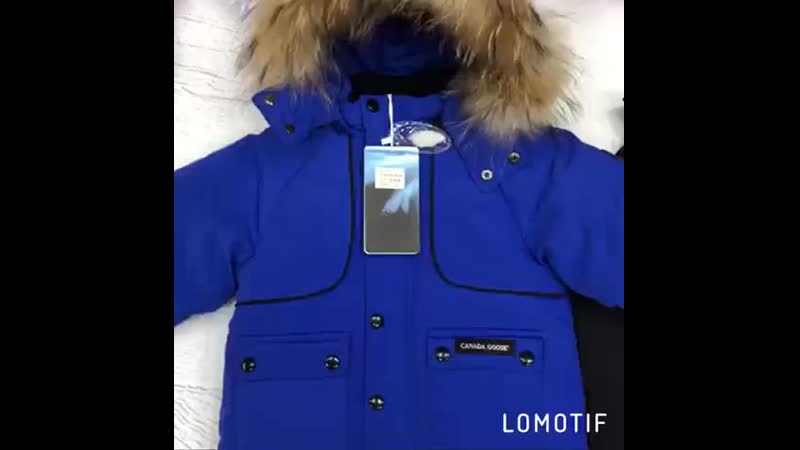 Goose porn video – Canada goose
