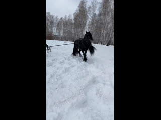 Видео от олеси аксёновой