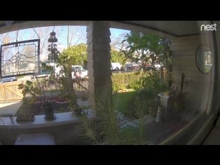 Вам посылка amazon deliveries (vhs video)