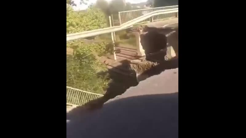 Несмотря на частичное обрушение моста в харькове, по нему продолжают ездить автомобили