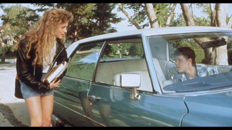 Водительские права (1988)