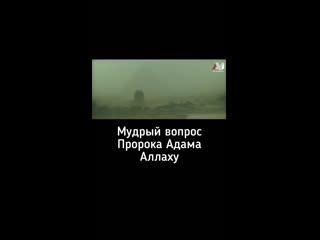 Video by адыгэ(черкесы ) дунайм щыпсэури