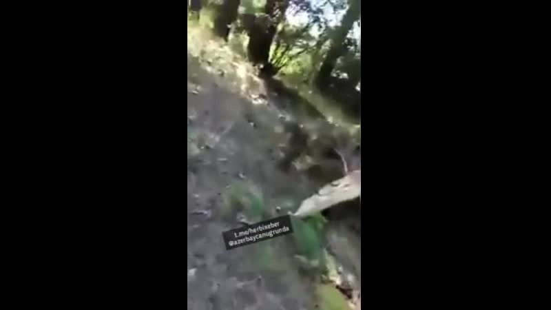 Последние секунды жизни армянского военного 2020 азербайджан, azerbaycan, баку, baku, карабах, ереван, пашинян, алиев