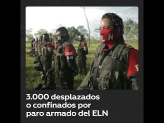 Casi 3 000 personas han sido desplazadas o confinadas por paro armado del eln al oeste de colombia