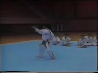 4 tae kwon do the present generation art of sef defence (2 dan)