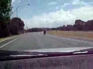 Honda cbr250rr vs toyota camry (vienta) )