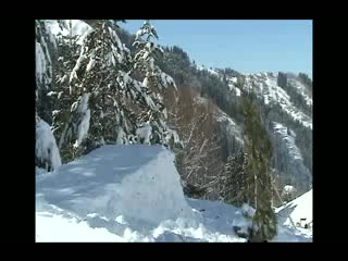 Шурик fs corksrew 540 indy