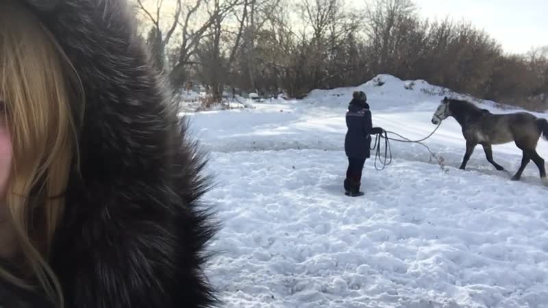 Луговое, легкая тренироа у грохота