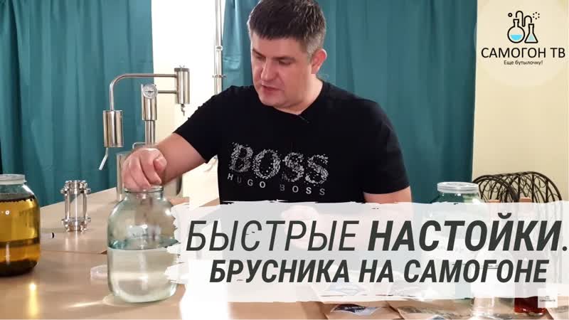 Быстрые настойки брусничная настойка на самогоне