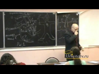 Лекция 8 мышечная и кровеносная системы организма, ч 2 онтогенез нервной системы