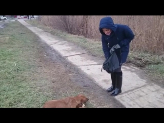 Instagram video by dasha rostova • jan 5, 2017 at 1202pm utc