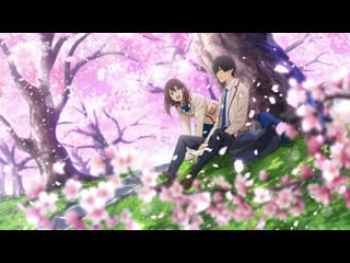 I want to eat your pancreas im not crying you are