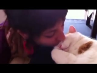 Sleepy cat meows when kissed
