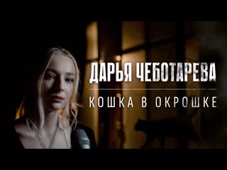 Дарья чеботарева кошка в окрошке (веня дркин) кавер 2023