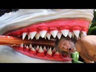 Байки из океана про акул