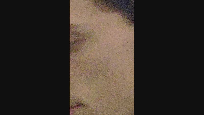 Live мемная корпорация