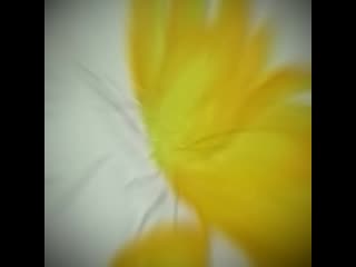 Video 20190228 112203 mp4