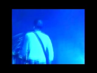 Placebo bruise pristine